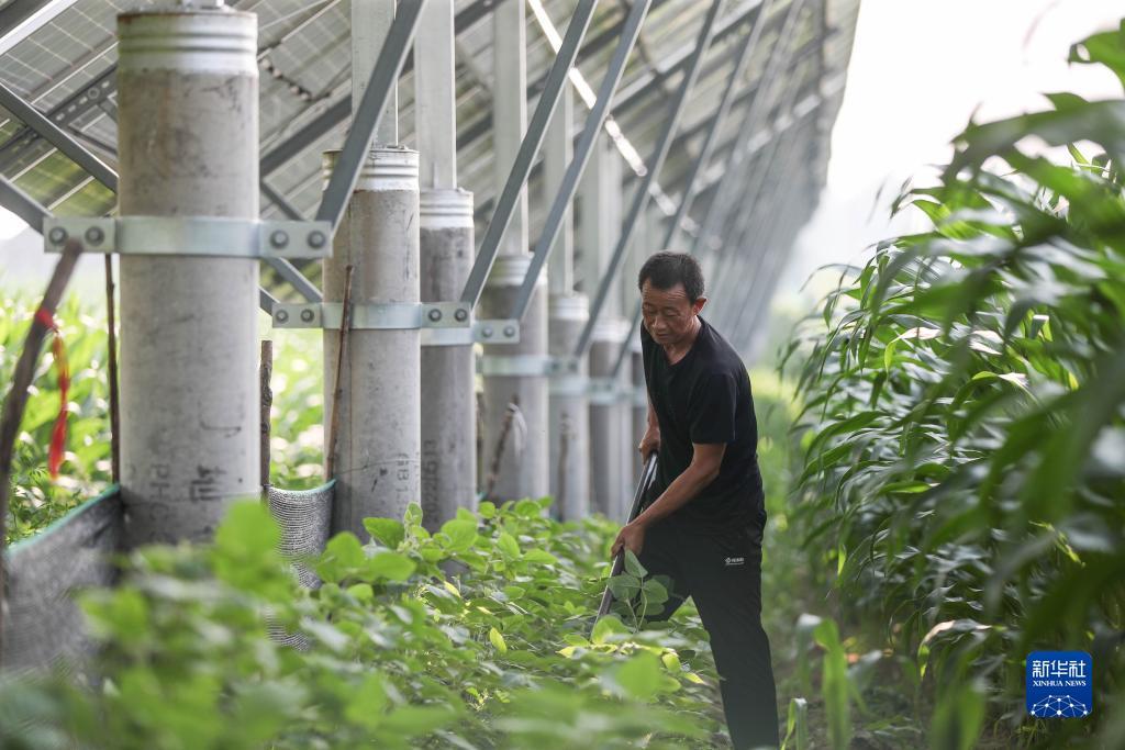 永利澳门登陆